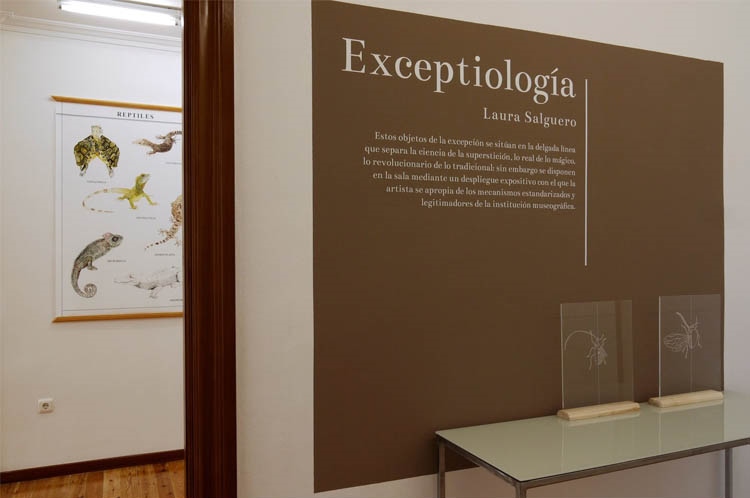 © Laura Salguero | Exceptiología | Galería La Gran | Arte a un Click 