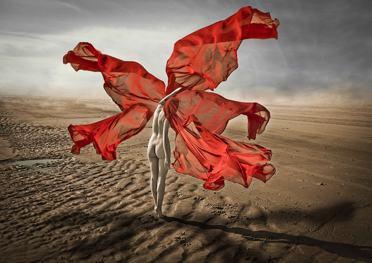 © Leila Amat | Flor de viento