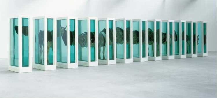 Arte Contemporáneo | Damien Hirst | Arte a un Click